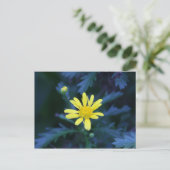 Carte Postale fleur jaune (Debout devant)
