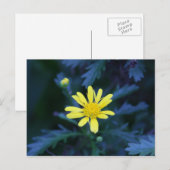 Carte Postale fleur jaune (Devant / Derrière)