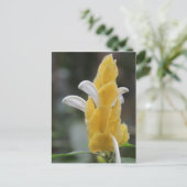 Carte Postale Fleur jaune # 2 (Debout devant)