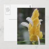 Carte Postale Fleur jaune # 2 (Devant / Derrière)