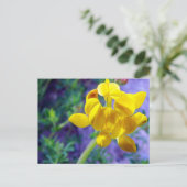 Carte Postale Fleur jaune 2 (Debout devant)