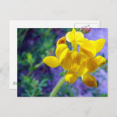 Carte Postale Fleur jaune 2 (Devant / Derrière)