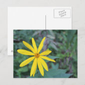 Carte Postale Fleur Jaune #5 (Devant / Derrière)