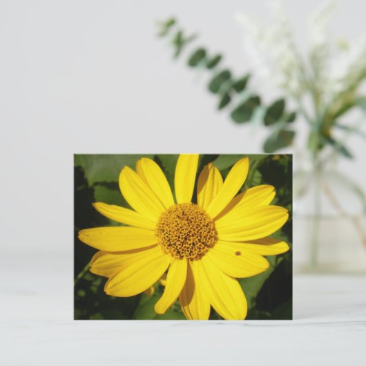 Carte Postale Fleur jaune avec feuillage vert (Debout devant)
