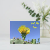 Carte Postale Fleur jaune de cactus de souvenirs de Del Rio le (Debout devant)