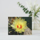 Carte Postale Fleur jaune de cactus d'hameçon (Debout devant)