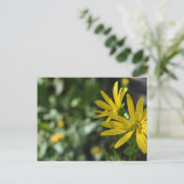 Carte Postale Fleur Jaune Fleur Florale Nature Photographie (Debout devant)