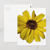 Carte Postale Fleur Jaune Lumineuse, Faisée (Devant / Derrière)