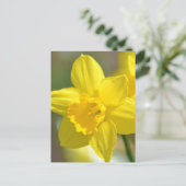 Carte Postale Fleur jonquille jaune (Debout devant)