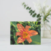Carte Postale Fleur Lily de tigre orange (Debout devant)