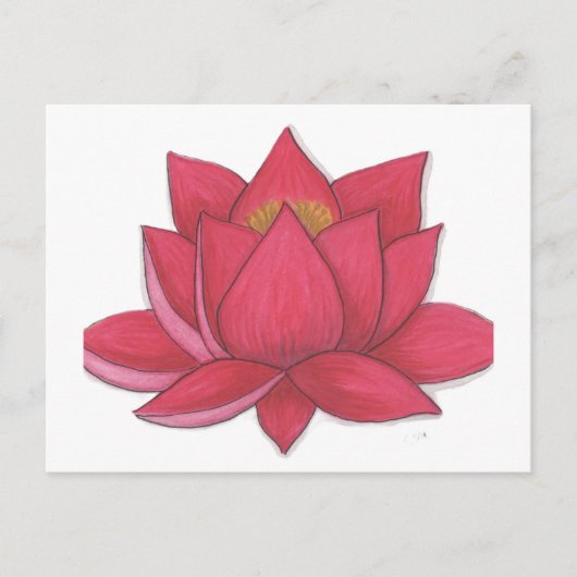 Carte Postale Fleur Lotus (Devant)