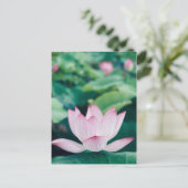 Carte Postale Fleur Lotus (Debout devant)