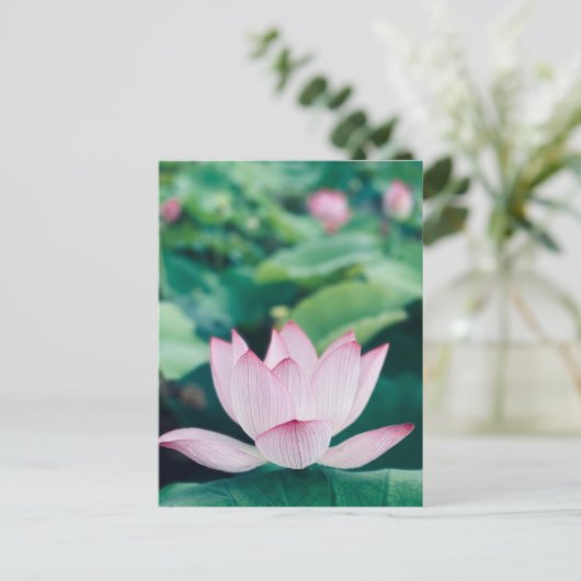 Carte Postale Fleur Lotus (Debout devant)