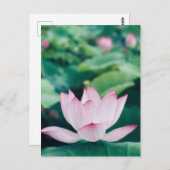 Carte Postale Fleur Lotus (Devant / Derrière)