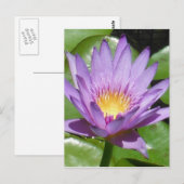 Carte Postale Fleur Lotus (Devant / Derrière)
