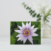 Carte Postale Fleur Lotus (Debout devant)
