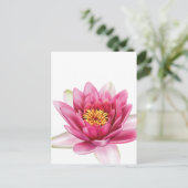 Carte Postale Fleur Lotus (Debout devant)