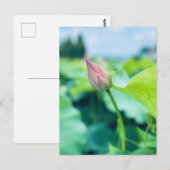 Carte Postale Fleur Lotus (Devant / Derrière)