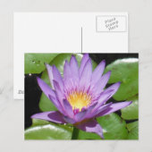 Carte Postale Fleur Lotus (Devant / Derrière)