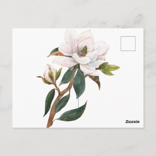 Carte Postale fleur magnolia aquarelle (Dos)