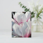 Carte Postale Fleur Magnolia simple (Debout devant)