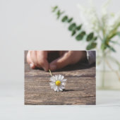 Carte Postale Fleur marguerite (Debout devant)