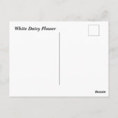 Carte Postale Fleur marguerite blanche (Dos)