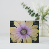 Carte Postale Fleur marguerite jaune et violet (Debout devant)