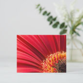 Carte Postale Fleur marron rouge Gerbera Daisy (Debout devant)