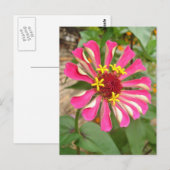Carte Postale Fleur multicolore * (Devant / Derrière)