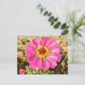 Carte Postale Fleur multicolore (Debout devant)