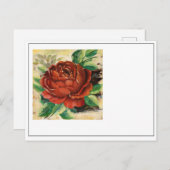 Carte Postale Fleur n° 1 (Devant / Derrière)