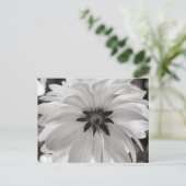 Carte Postale Fleur noire et blanche Dahlia (Debout devant)