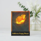 Carte Postale Fleur Ogange California (Debout devant)