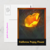 Carte Postale Fleur Ogange California (Devant / Derrière)