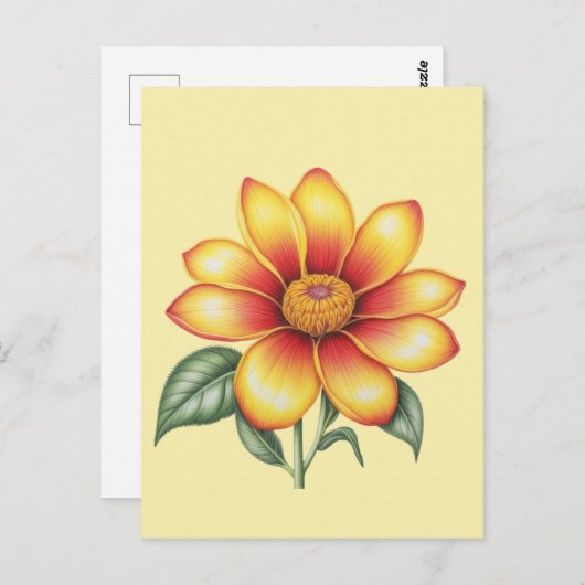 Carte Postale Fleur orange (Devant / Derrière)