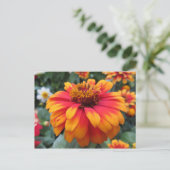 Carte Postale Fleur orange (Debout devant)