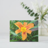 Carte Postale Fleur orange (Debout devant)