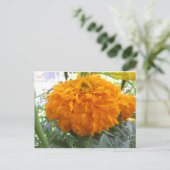 Carte Postale Fleur orange (Debout devant)