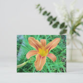 Carte Postale Fleur orange 2 (Debout devant)