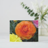 Carte Postale Fleur orange ronde (Debout devant)