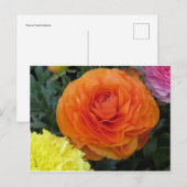 Carte Postale Fleur orange ronde (Devant / Derrière)