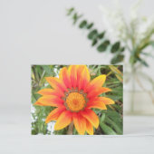 Carte Postale Fleur orange vif unique (Debout devant)