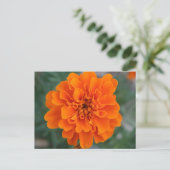 Carte Postale Fleur orange vive (Debout devant)