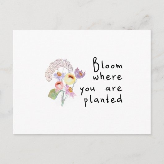 Carte Postale Fleur où vous êtes planté (Devant)