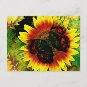 Carte Postale Fleur papillon