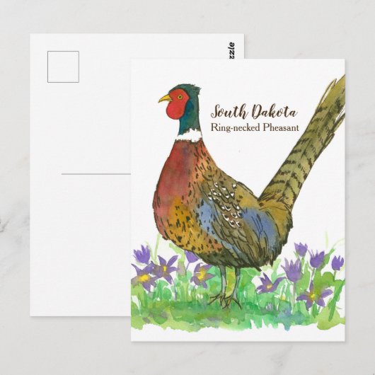 Carte Postale Fleur Pasque du faisan caché de l'anneau du Dakota (Devant / Derrière)