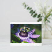 Carte Postale Fleur Passion (Debout devant)
