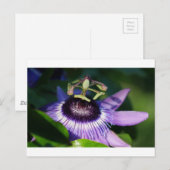 Carte Postale Fleur Passion (Devant / Derrière)