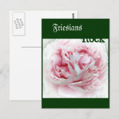 Carte Postale Fleur Pastel (Devant / Derrière)